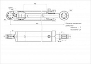 Гидроцилиндр ЦГ-110.56х575.11