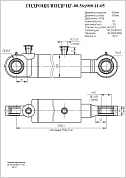 Гидроцилиндр ЦГ-80.56х900.11-05