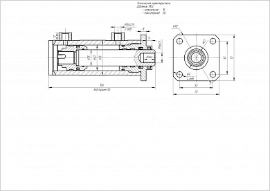 Гидроцилиндр ЦГ-40.25х50.24