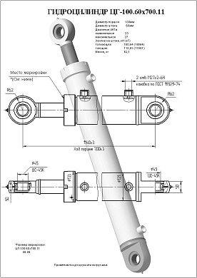 Гидроцилиндр ЦГ-100.60х700.11