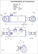 Гидроцилиндр ЦГ-63.40х360.22-01