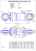 Гидроцилиндр ЦГ-125.80х950.11-02