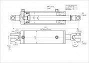 Гидроцилиндр ЦГ-100.45х254.01