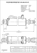 Гидроцилиндр ЦГ-100.40х200.01.000-05