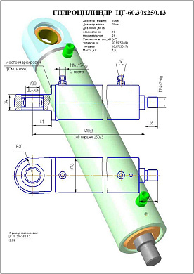 Гидроцилиндр ЦГ-60.30х250.13