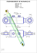 Гидроцилиндр ЦГ-80.50х800.22-02