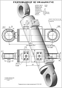 Гидроцилиндр ЦГ-100.63х310.17-02
