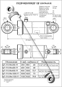 Гидроцилиндр ЦГ-110.56х280.11