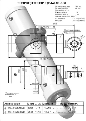 Гидроцилиндр ЦГ-160.80х800.31