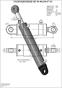 Гидроцилиндр ЦГ-80.40х330.17-01