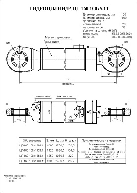 Гидроцилиндр ЦГ-160.100х1600.11