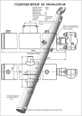 Гидроцилиндр ЦГ-100.50х1250.48