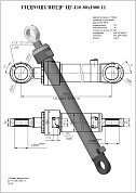 Гидроцилиндр ЦГ-110.80х1000.11
