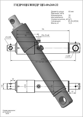 Гидроцилиндр ЦП-60х260.22