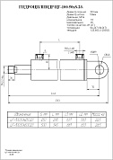 Гидроцилиндр ЦГ-100.50х250.23