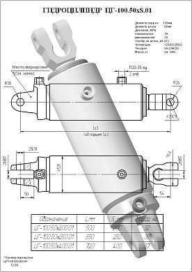 Гидроцилиндр ЦГ-100.50х200.01