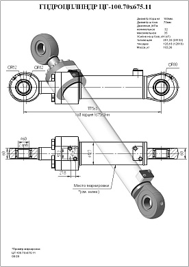 Гидроцилиндр ЦГ-100.70х675.11