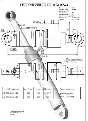 Гидроцилиндр ЦГ-100.60х800.22