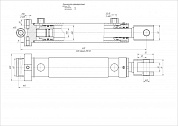 Гидроцилиндр ЦГ-50.30х200.08