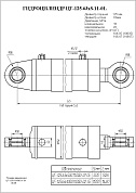 Гидроцилиндр ЦГ-125.63х500.11.000-01СБ