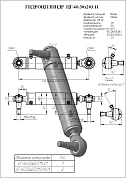 Гидроцилиндр ЦГ-60.30х203.11.001