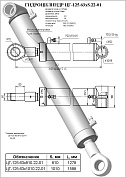 Гидроцилиндр ЦГ-125.63х1010.22-01