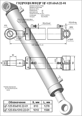 Гидроцилиндр ЦГ-125.63х1010.22-01