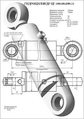 Гидроцилиндр ЦГ-100.60х180.11