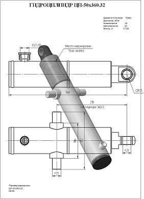 Гидроцилиндр ЦП-50х360.32