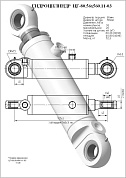 Гидроцилиндр ЦГ-80.56х560.11-03