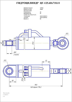 Гидроцилиндр ЦГ-125.60х710.11