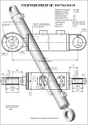 Гидроцилиндр ЦГ-110.70х1100.11