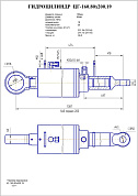 Гидроцилиндр ЦГ-160.80х200.19