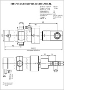 Гидроцилиндр ЦГ-125.100х5000.31