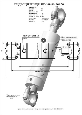 Гидроцилиндр ЦГ-100.50х200.70