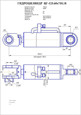 Гидроцилиндр ЦГ-125.60х710.18