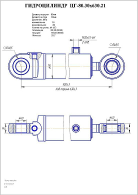 Гидроцилиндр ЦГ-80.30х630.21