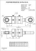 Гидроцилиндр ЦГ-100.50х278.11-01