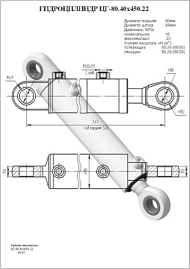 Гидроцилиндр ЦГ-80.40х450.22
