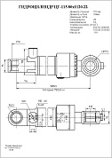 Гидроцилиндр ЦГ-115.80х1120.22