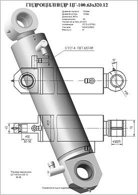 Гидроцилиндр ЦГ-100.63х320.12