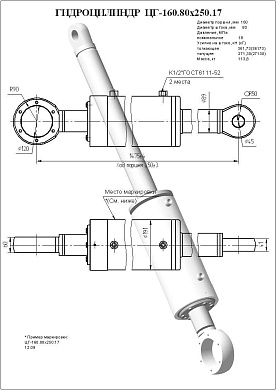 Гидроцилиндр ЦГ-160.80х250.17